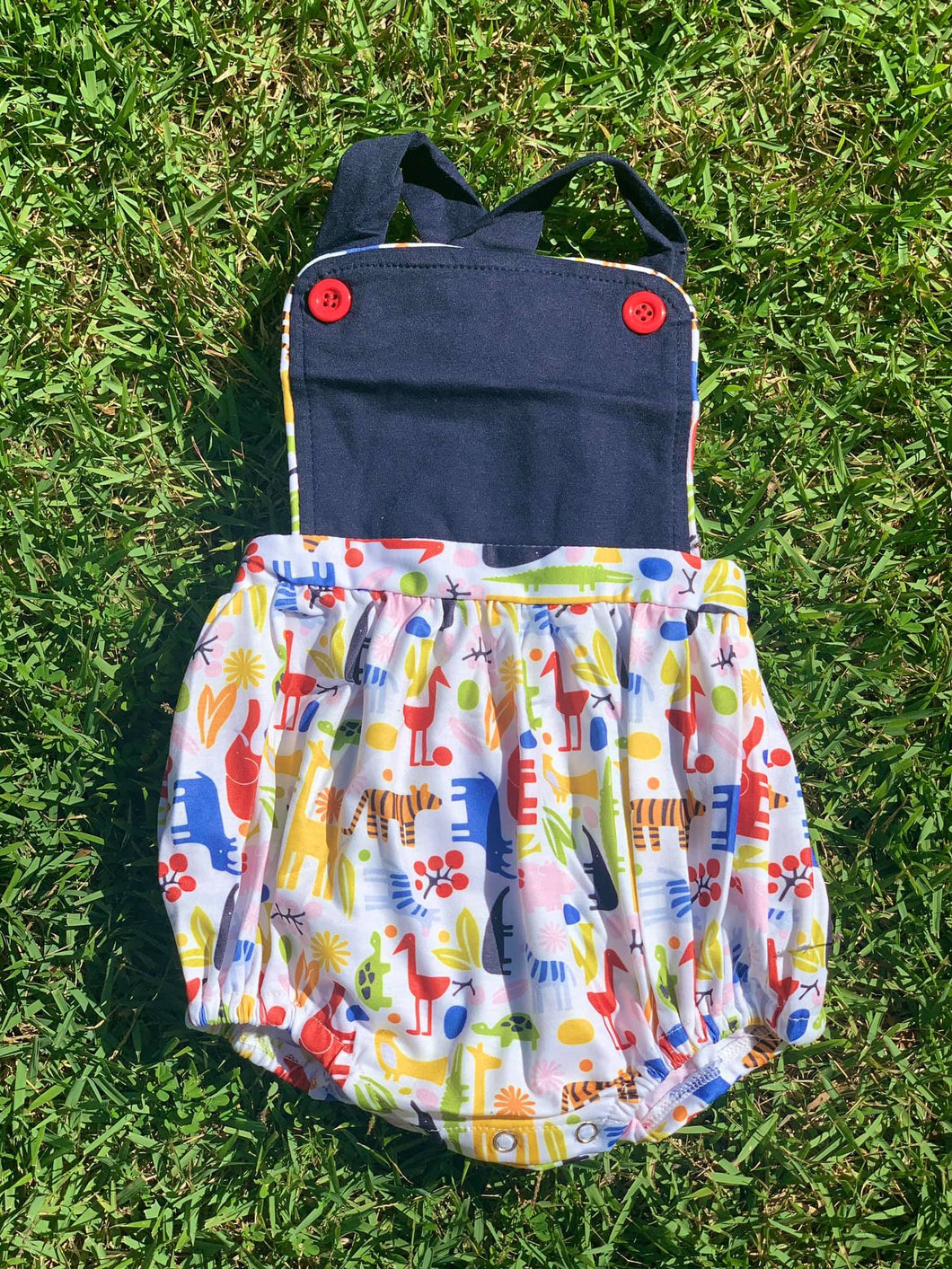 Boy Zoo Bubble