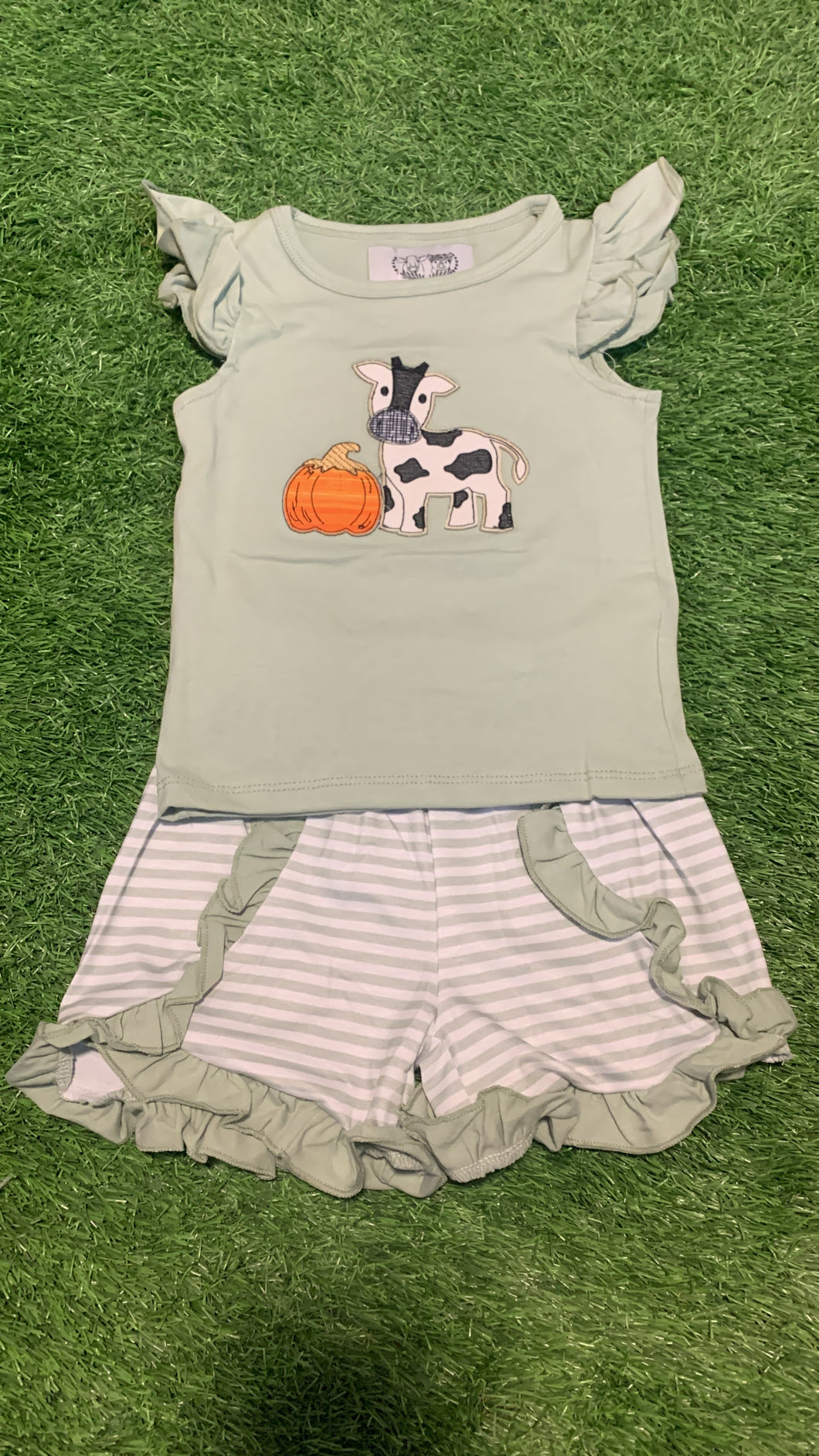 Pumpkin Cow Set